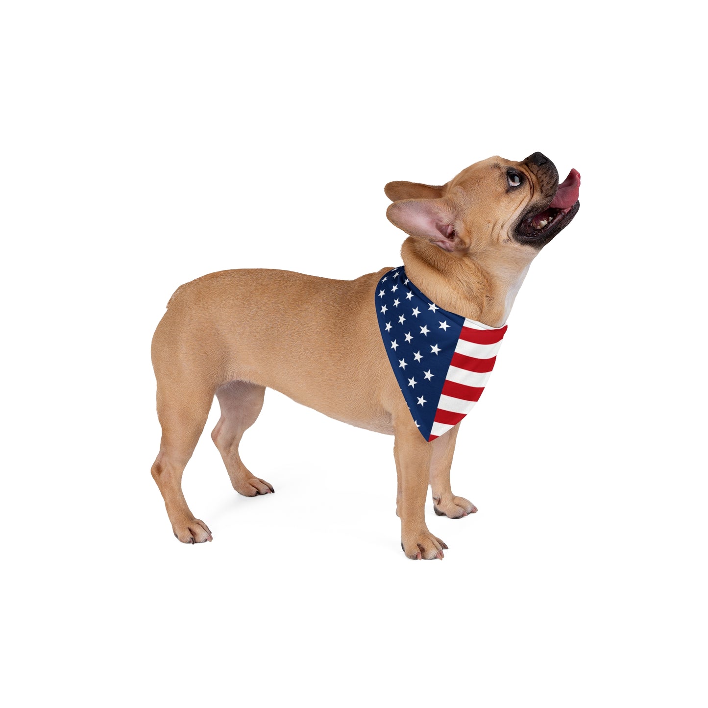 Good Boys Bandana