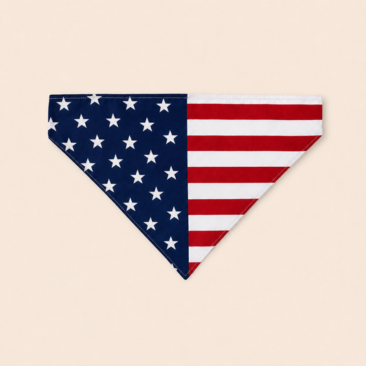 Good Boys Bandana