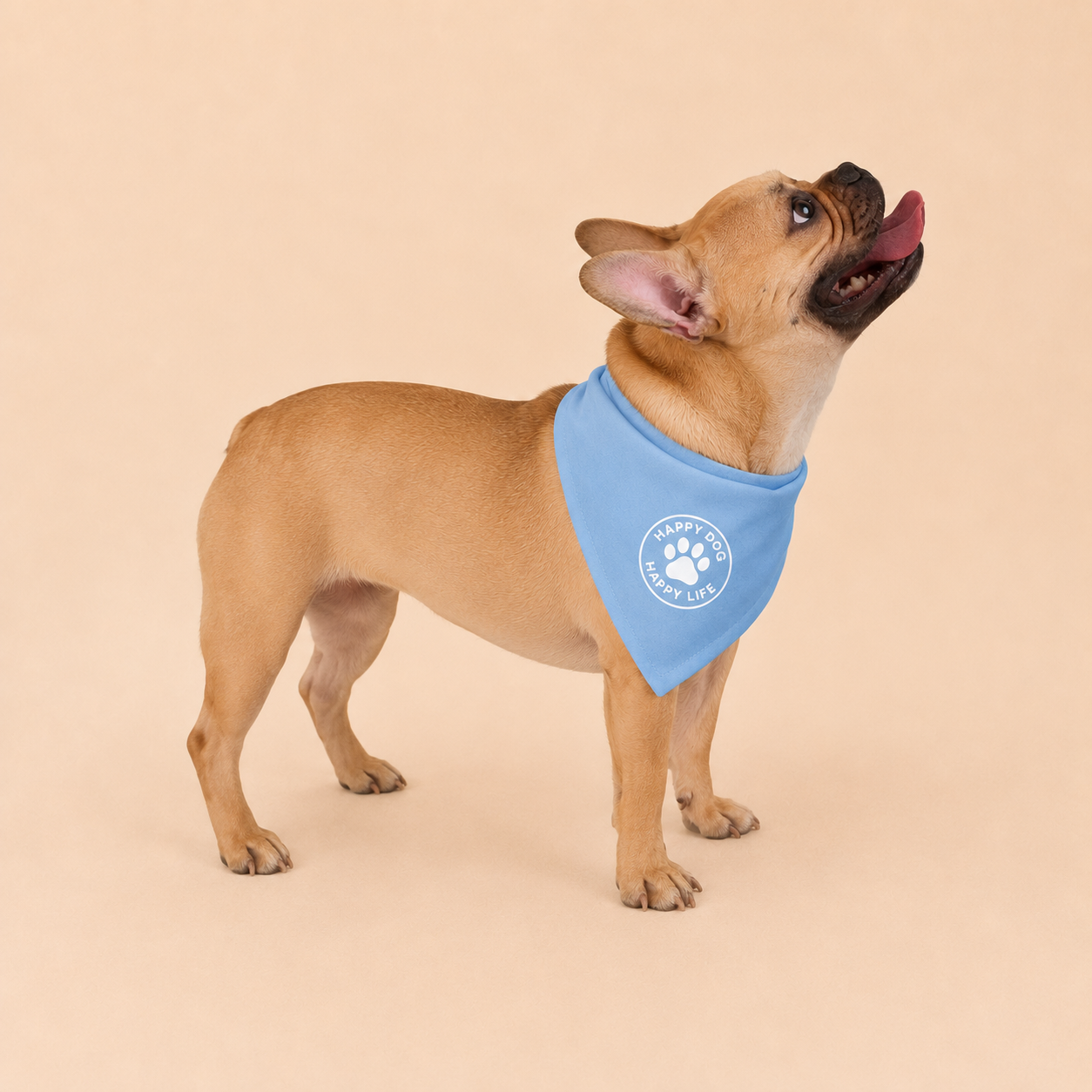 Seaside Stroll Dog Bandana
